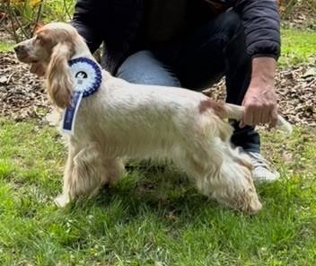 Vic Du Souvenir De Romy